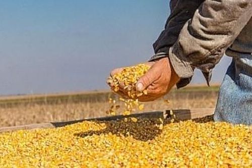 Chi hơn 5 tỷ USD nhập khẩu, một ngành hàng nông nghiệp top 1 nhập siêu