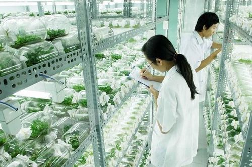 Ngành nông nghiệp: Thiếu hụt trầm trọng nhân lực trình độ cao