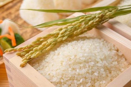 Quá trình 'phai nhạt tình yêu' với gạo của người Nhật Bản