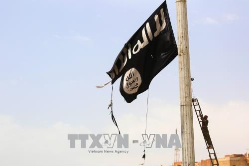 Niger bắt giữ 2 thủ lĩnh của IS