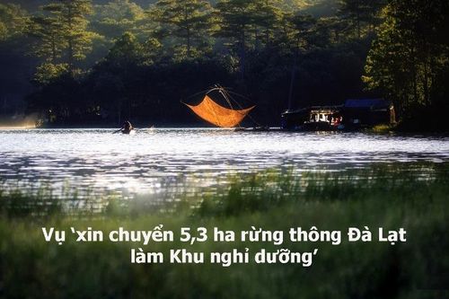 Sacom Tuyền Lâm muốn nộp tiền vì 'không có điều kiện trồng rừng thay thế'