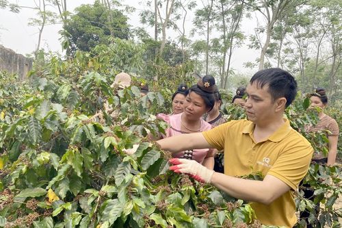 Đào tạo, bồi dưỡng nâng cao chất lượng cán bộ