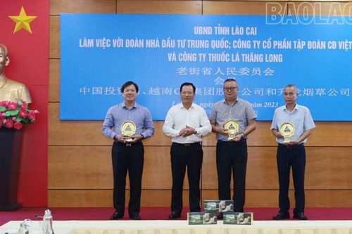 Thường trực UBND tỉnh làm việc với Đoàn nhà đầu tư Trung Quốc, Công ty Cổ phần Tập đoàn CĐ Việt Nam và Công ty thuốc lá Thăng Long.