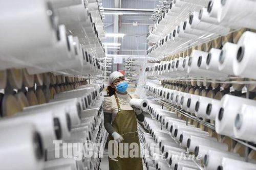 Kinh tế trên đà tăng trưởng