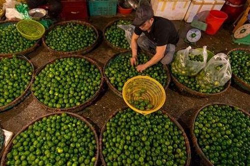 HTX tận dụng thị trường tiềm năng ở trong nước