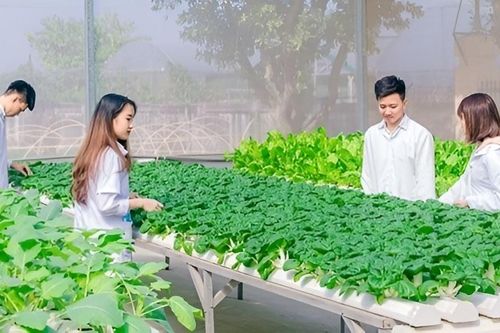 Giải bài toán để cung - cầu lao động ngành nông nghiệp gặp nhau