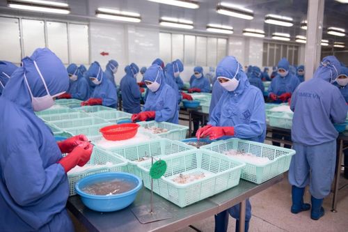 Doanh nghiệp thủy sản được dự báo sẽ phục hồi lợi nhuận nửa cuối 2023