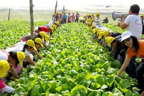 Nâng tầm thương hiệu du lịch nông nghiệp, nông thôn Hà Nội