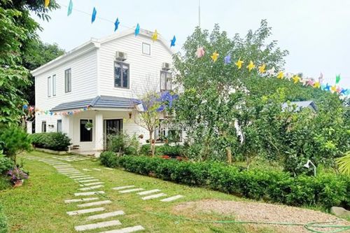 Vỡ mộng 'bỏ phố về rừng'
