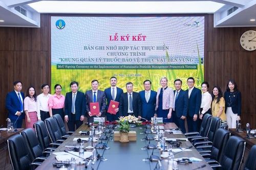Xây dựng khung quản lý thuốc bảo vệ thực vật bền vững