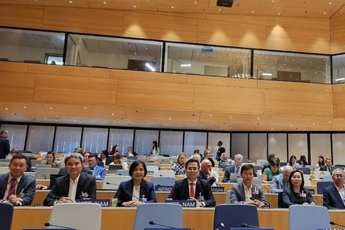 Hợp tác đa phương phát triển hệ sinh thái sở hữu trí tuệ toàn cầu bao trùm, cân bằng, hiệu quả