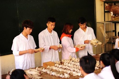 Các khối ngành nông nghiệp chưa hấp dẫn học sinh, sinh viên