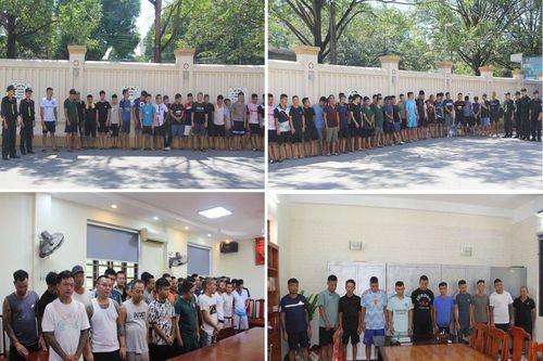 Bắt quả tang 142 người chơi đá gà ăn tiền ở Thanh Hóa
