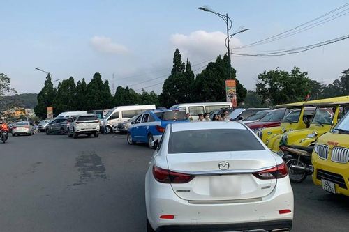 Đà Lạt xử lý nghiêm đậu, đỗ xe ô tô không đúng quy định