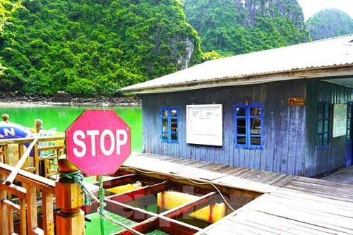 Quảng Ninh lên tiếng vụ làng chài cổ đang chìm dần ở vịnh Hạ Long