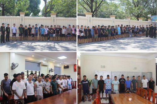 Phá sới gà, bắt giữ 142 đối tượng