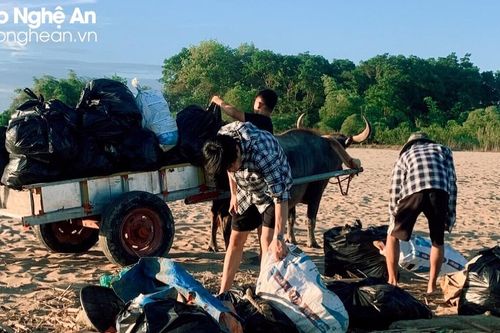 Nhóm 'Gen Z' Thanh Chương căng mình dưới nắng thiêu thu gom rác
