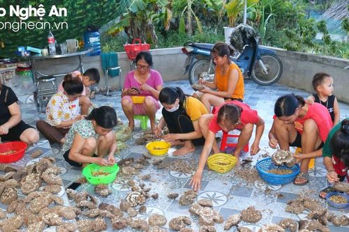 Bán được giá cao, người dân vùng núi Nghệ An nô nức săn tìm, bóc tách tổ ong