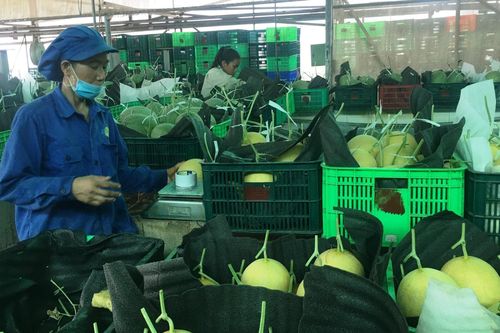 Bình Dương có 88 sản phẩm đạt chứng nhận OCOP từ 3 sao trở lên
