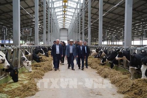 TH true MILK nỗ lực hoàn thành dự án tại LB Nga theo đúng kế hoạch