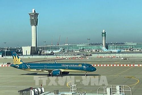 Phi công của Vietnam Airlines dương tính với chất cấm có thể bị sa thải