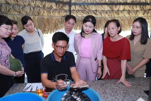 Ninh Bình: Xây dựng Nông thôn mới ưu tiên trước hết là nâng cao đời sống, thu nhập của người dân