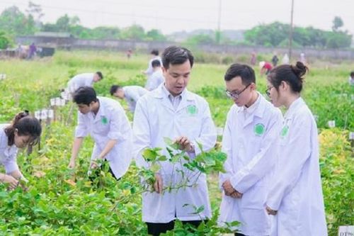Vì sao sinh viên 'thờ ơ' với nông nghiệp