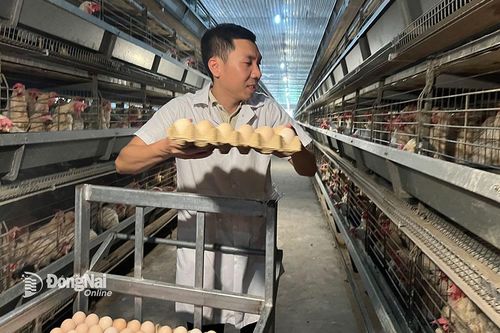 Sản phẩm Việt trong xu hướng 'xanh - sạch – lành'