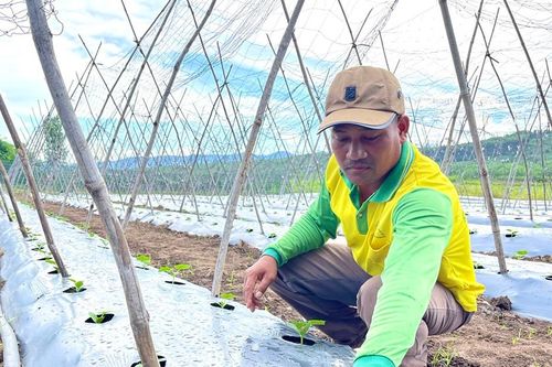 Nâng cao hiệu quả sản xuất nhờ hệ thống tưới tiết kiệm nước