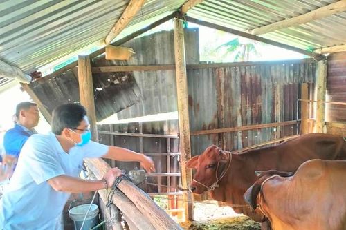 An Khê: 72,8 triệu đồng hỗ trợ sinh kế sản xuất cho hộ nghèo, cận nghèo