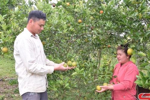 Nâng cao chất lượng đời sống cho nhân dân