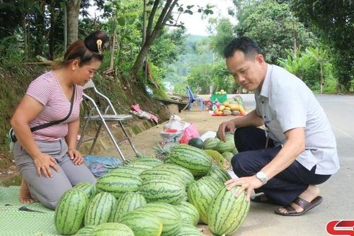 Cây trồng mới ở bản Liên Minh