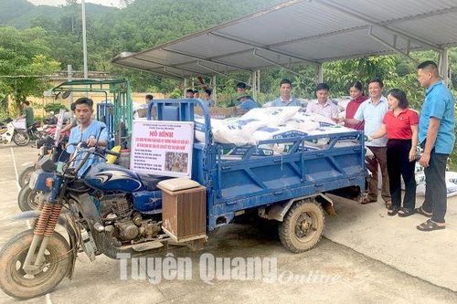 Xây dựng nông thôn mới ở những xã nghèo: Cần có cơ chế đặc thù