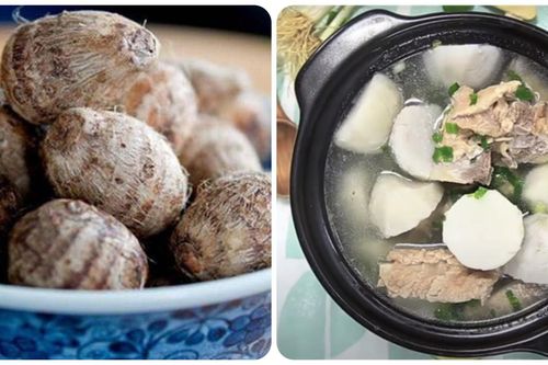 Ăn khoai sọ có tốt không?