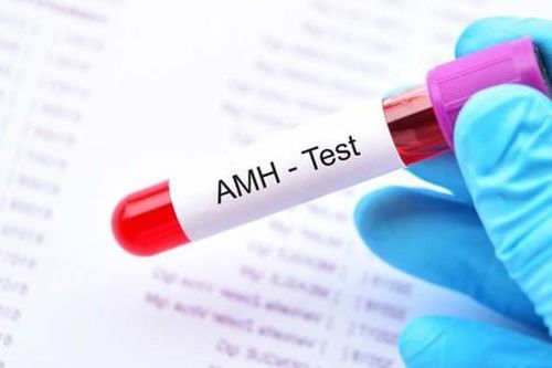 Chỉ số AMH trong xét nghiệm nói lên điều gì về sức khỏe sinh sản ở phụ nữ?