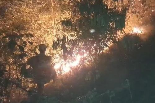 Hàng trăm người xuyên đêm dập lửa đám cháy rừng ở Nam Đàn