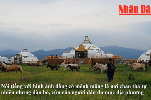 Trải nghiệm thú vị trên thảo nguyên Nội Mông, Trung Quốc