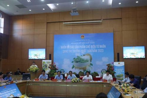 Xúc tiến tiêu thụ nhãn sang thị trường Nhật Bản