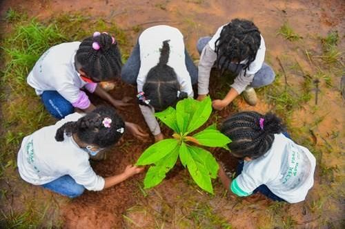 Ethiopia phát động trồng 500 triệu cây trong một ngày