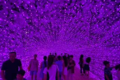Rực rỡ không gian ánh sáng nghệ thuật lần đầu tiên bên sông Hàn