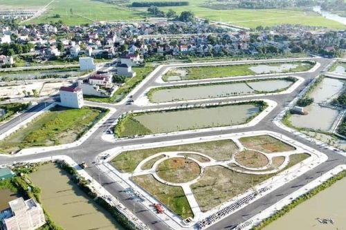 Kéo dài thời gian nộp tiền đấu giá khi bất động sản đóng băng