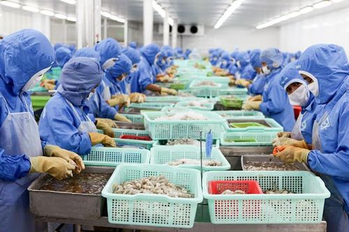 Phó Thủ tướng: Xem xét điều chỉnh lãi suất cho vay hỗ trợ doanh nghiệp thủy sản