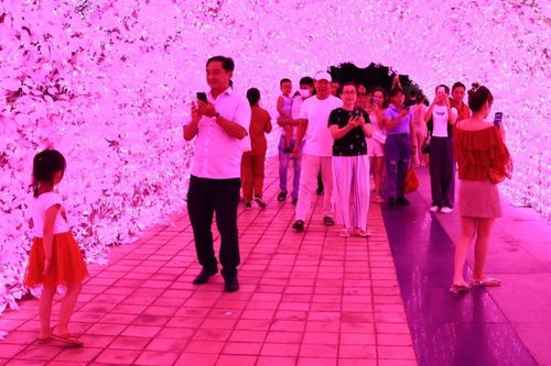 Đổ xô tới công viên ánh sáng lần đầu xuất hiện ở Đà Nẵng