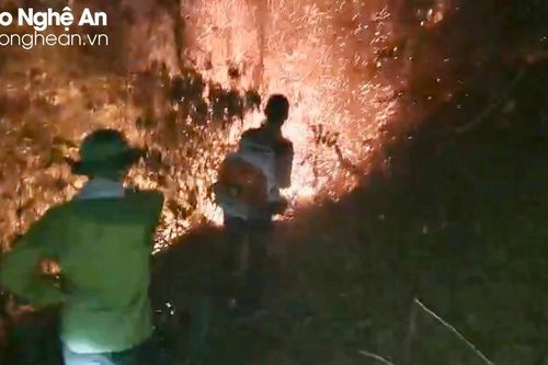 Điều tra nguyên nhân làm cháy rừng ở Nam Đàn