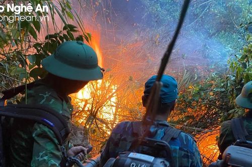Khống chế thành công đám cháy rừng tại huyện Diễn Châu