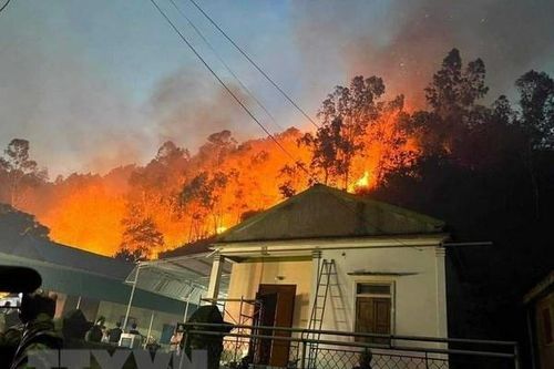 Nghệ An: Xuyên đêm nỗ lực dập tắt cháy rừng ở huyện Nam Đàn