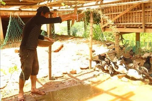 Những nông dân Hre sản xuất kinh doanh giỏi