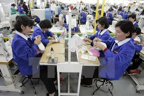 Thị trường việc làm Hàn Quốc tiếp tục phục hồi mạnh mẽ