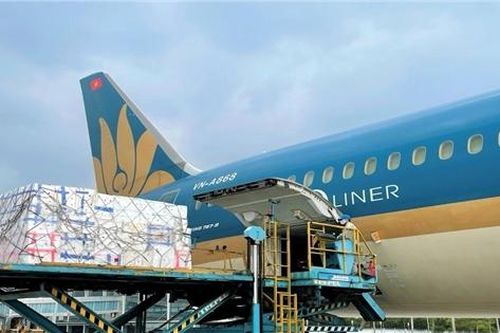 Vietnam Airlines vận chuyển 90 tấn vải quả xuất khẩu