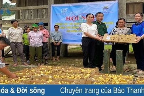 Khởi sắc vùng biên xã Bát Mọt